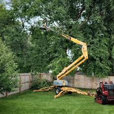 Professional  Tree Services in Hastings, PA